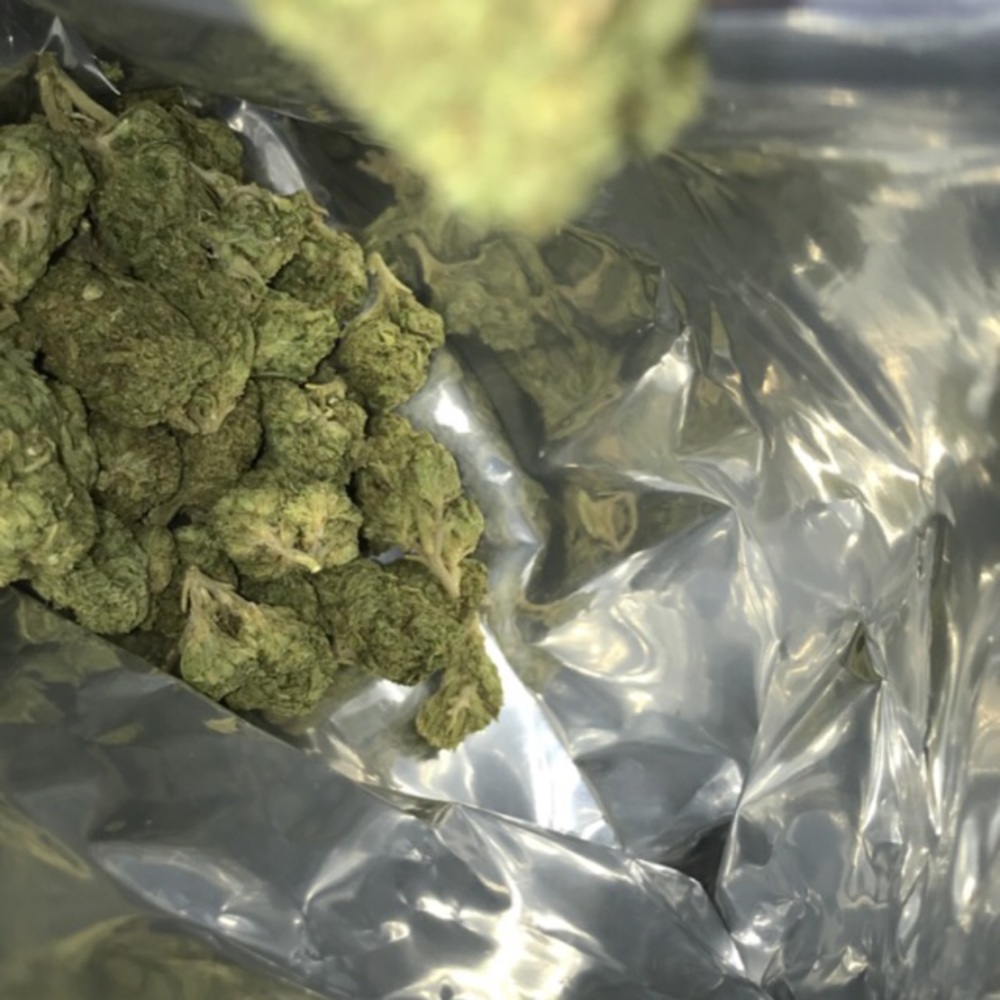 Meet your Posher, Cody